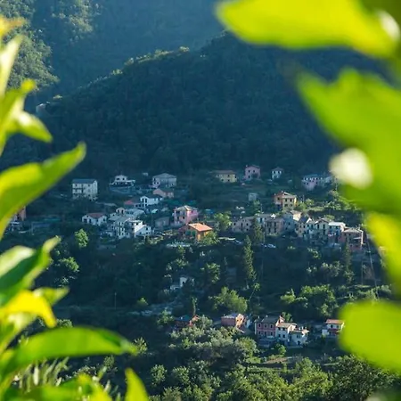 La Casa Nel Bosco Semesterbostad