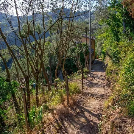 La Casa Nel Bosco