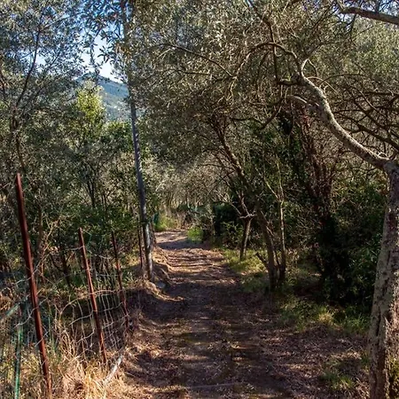 La Casa Nel Bosco Holiday home *